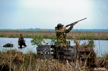 Waterfowl hunting